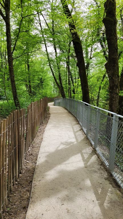 gorges-du-sierroz-sentier