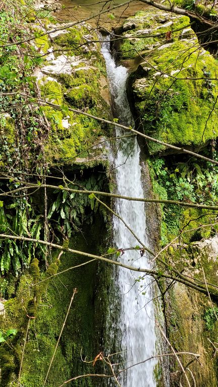 gorges-sieroz-cascade