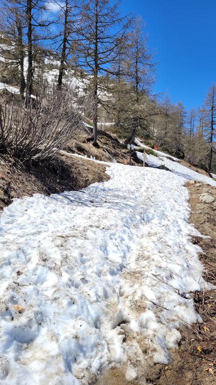 chamonix-montenvers-mer-de-glace-11