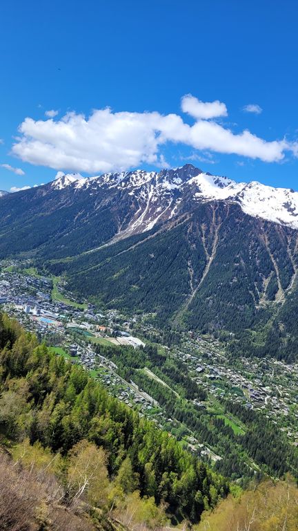 chamonix-montenvers-mer-de-glace-18