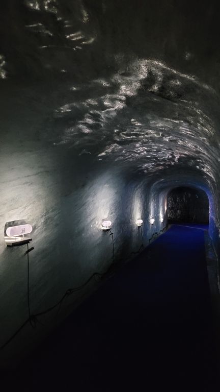 chamonix-montenvers-mer-de-glace-3