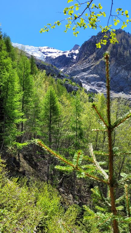 chamonix-rando-glacier-bossons-3