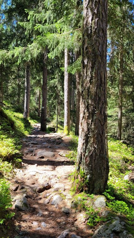 chamonix-rando-glacier-bossons