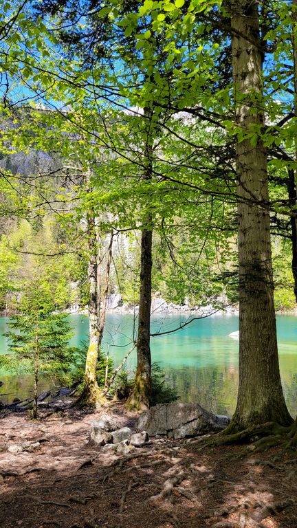 chamonix-visite-lac-vert