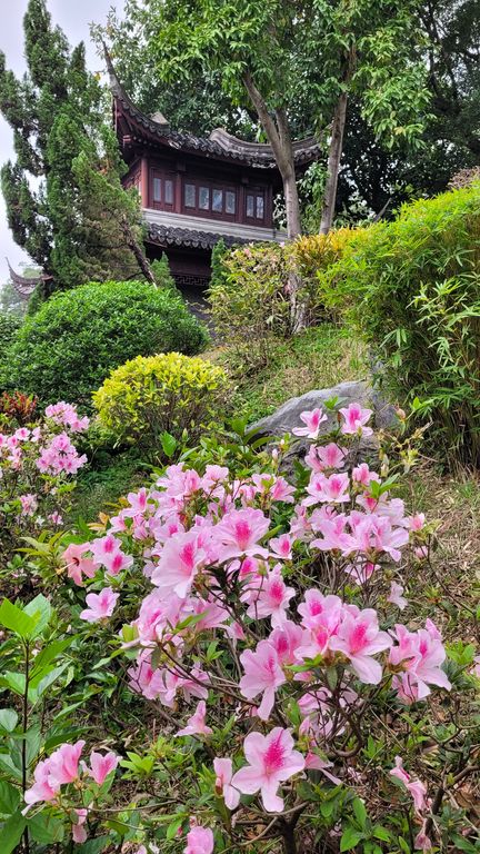 hong-kong-kowloon-walled-city-park-10