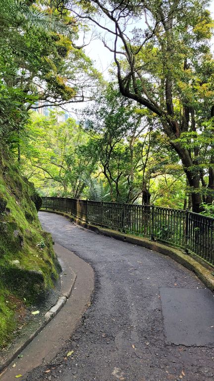 hong-kong-victoria-peak-nature