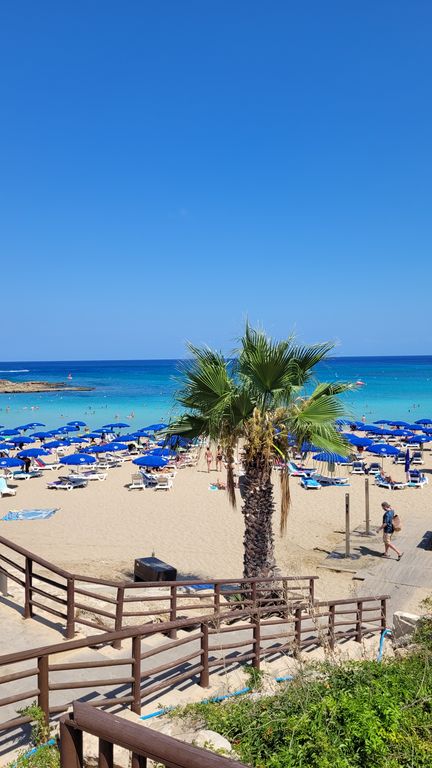 fig-tree-meilleure-plage-chypre