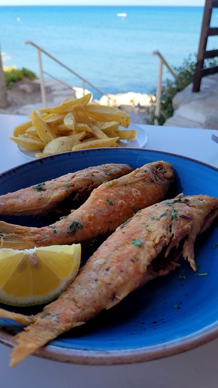 melanda-beach-poisson-chypre