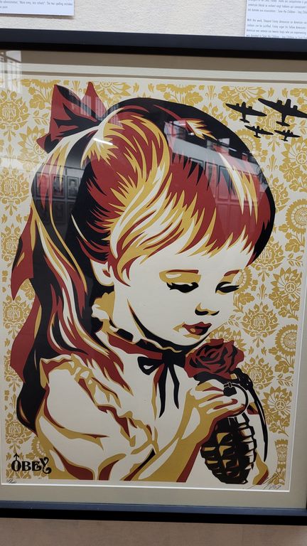 expo-shepard-fairey-lyon-11