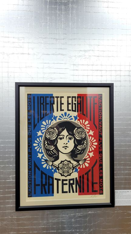 expo-shepard-fairey-lyon-12