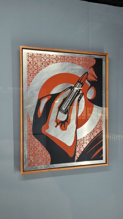 expo-shepard-fairey-lyon-15
