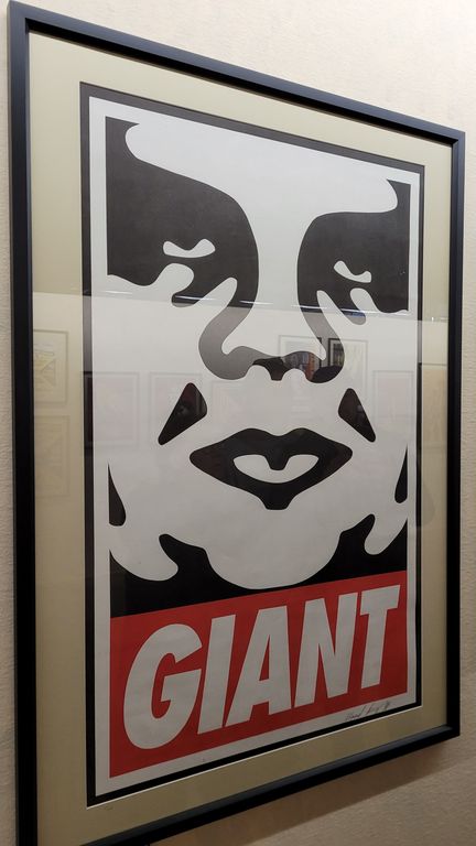 expo-shepard-fairey-lyon-2