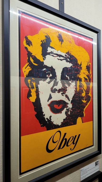 expo-shepard-fairey-lyon-4