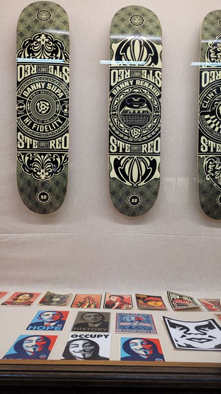 expo-shepard-fairey-lyon-6