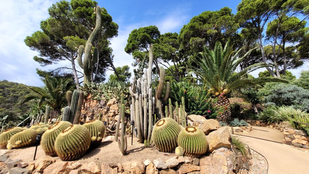 jardins-cap-roig-6