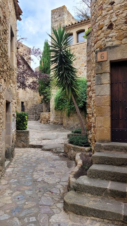 pals-village-medieval