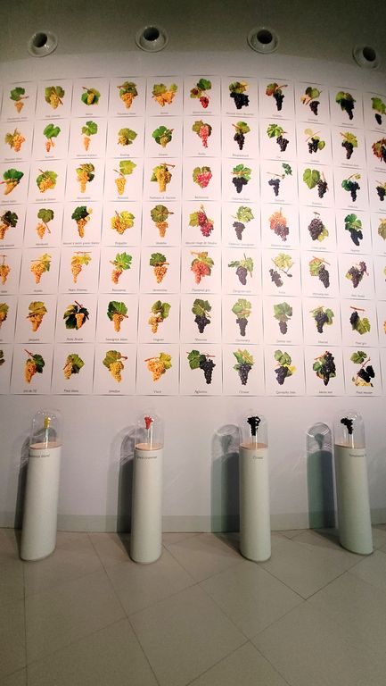 cite-du-vin-bordeaux-10