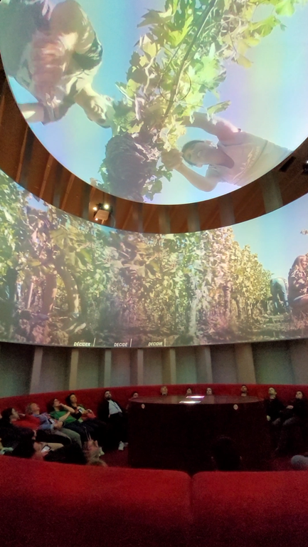 cite-du-vin-bordeaux-2