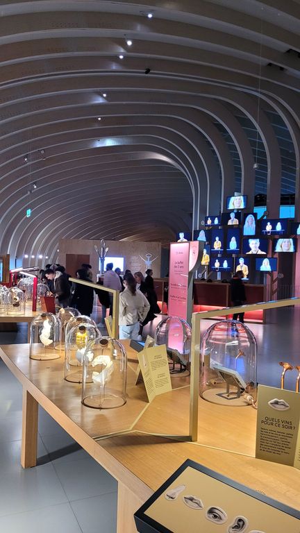 cite-du-vin-bordeaux-6