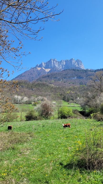 tour-velo-lac-annecy-14