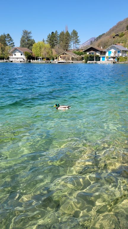 tour-velo-lac-annecy17