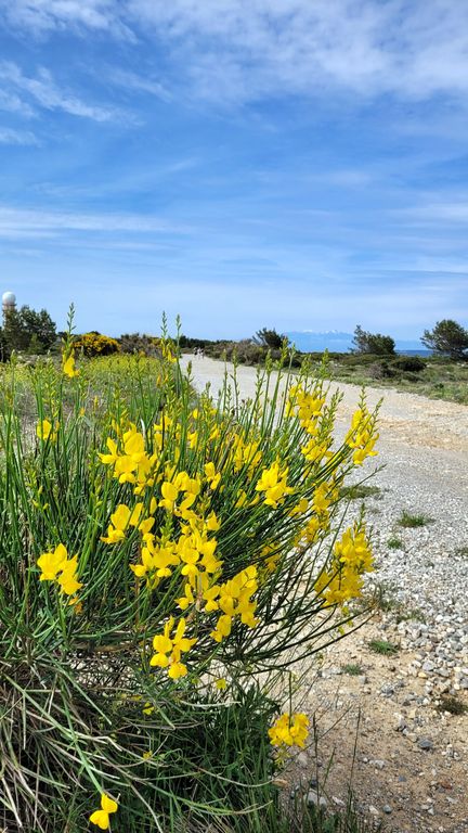 leucate-falaise-balade-5