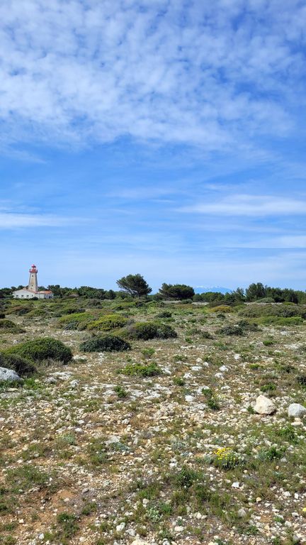 leucate-falaise-balade-7