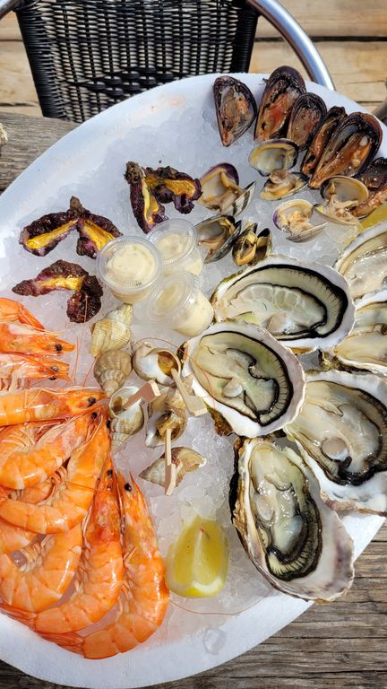 leucate-fruits-mer-cul-oursin-4