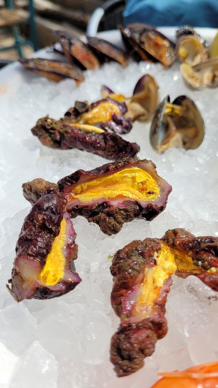 leucate-fruits-mer-cul-oursin-5