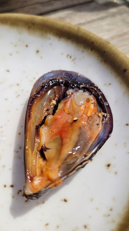 leucate-fruits-mer-cul-oursin-6