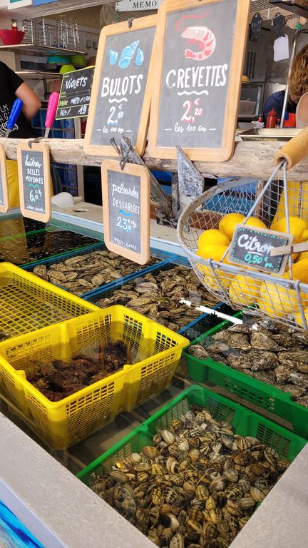 leucate-fruits-mer-cul-oursin-9
