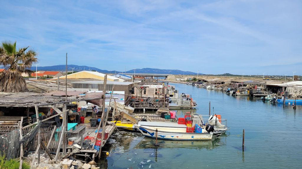leucate-village-ostreicole-3