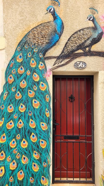 sete-street-art-maco-10