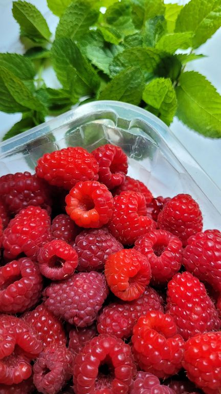 framboise-menthe-confiture