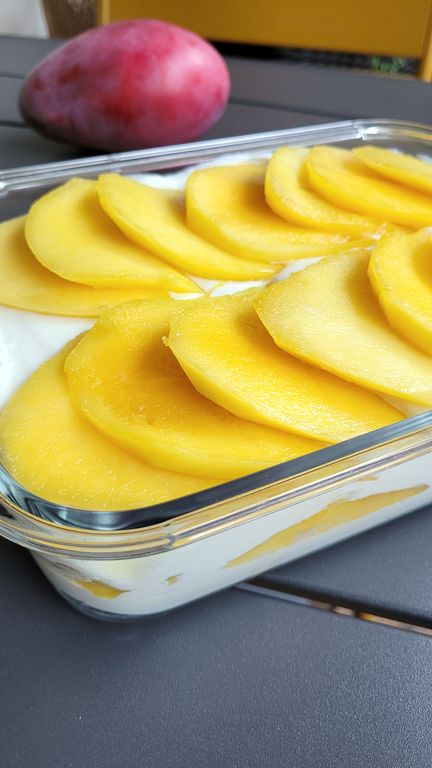mango-float-maison