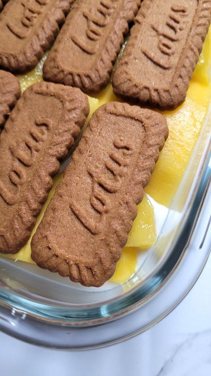 mango-float-mangue-coco