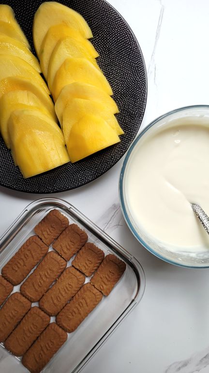 mango-float-preparation