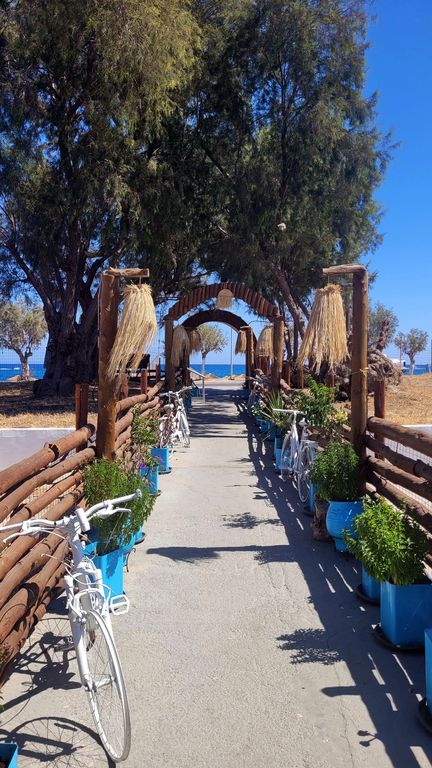 bonne-adresse-rhodes-camara-seaside