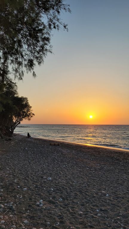 rhodes-elena-fish-restaurant