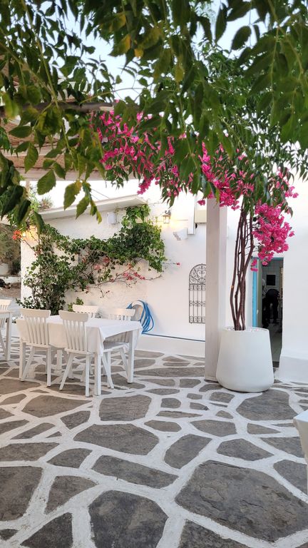 rhodes-stefano-fish-tavern