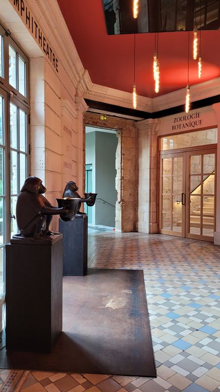 hotel-boutique-la-zoologie-bordeaux-2