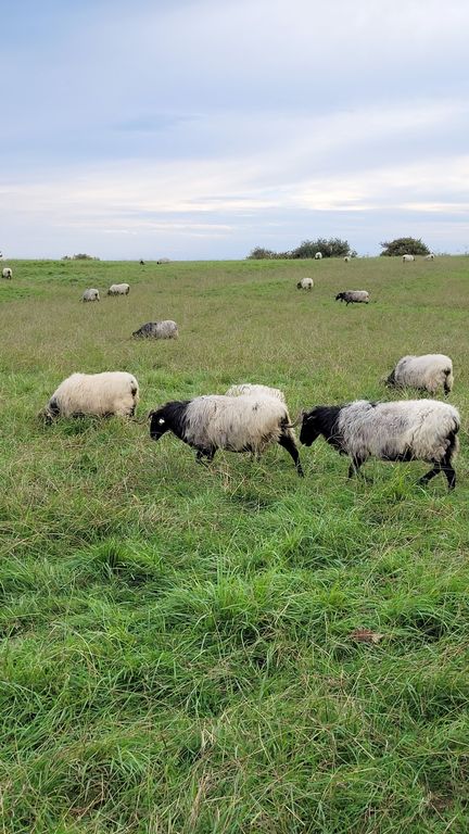 hendaye-que-faire-14