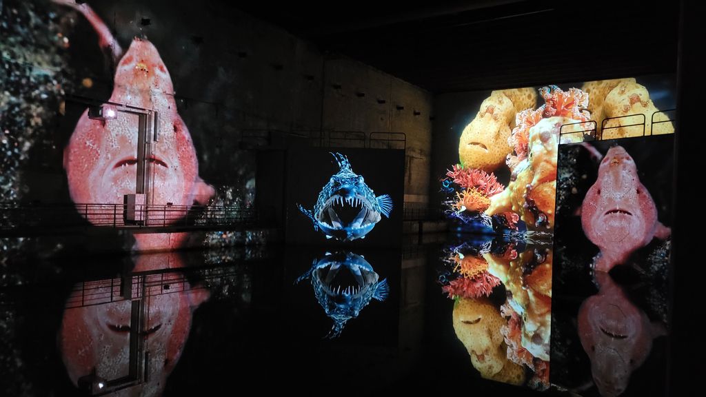 ocean-bassins-des-lumieres-bordeaux-11