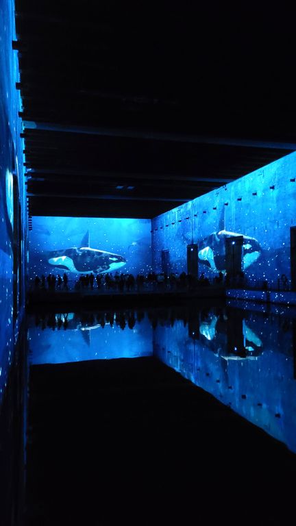 ocean-bassins-des-lumieres-bordeaux-12