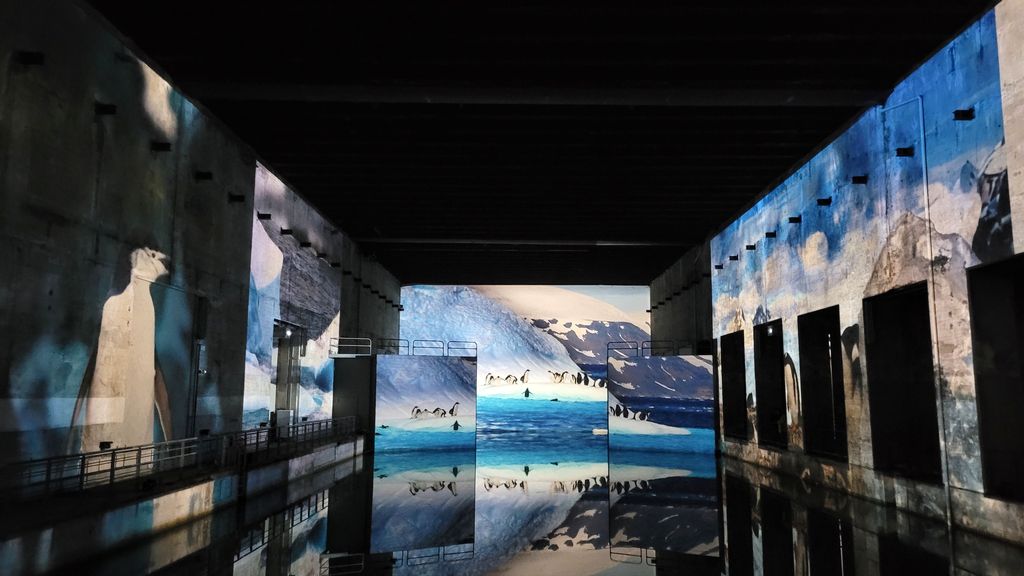 ocean-bassins-des-lumieres-bordeaux-13