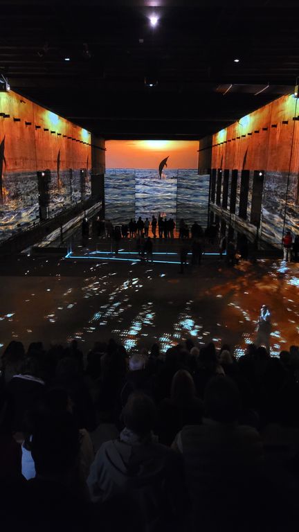 ocean-bassins-des-lumieres-bordeaux-16