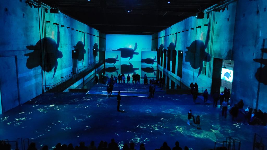 ocean-bassins-des-lumieres-bordeaux-17