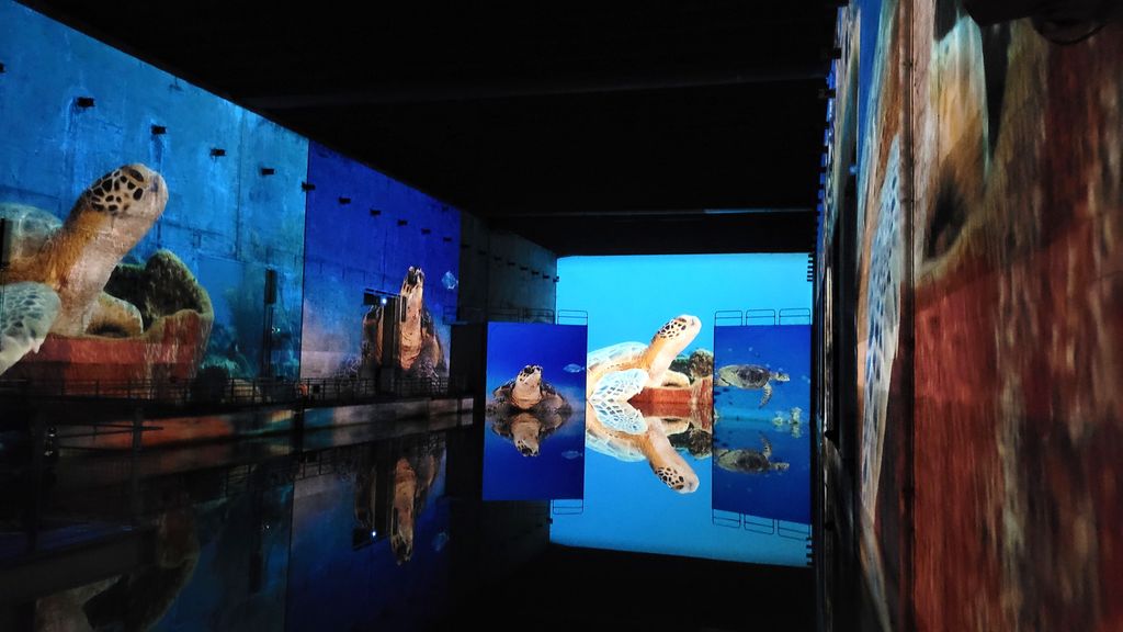 ocean-bassins-des-lumieres-bordeaux-18