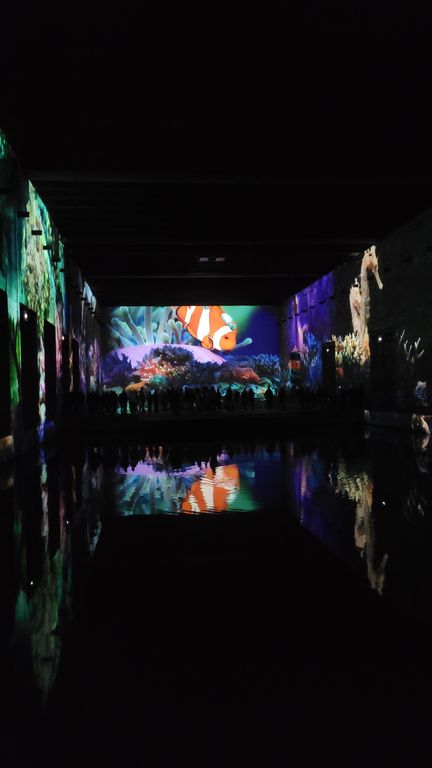 ocean-bassins-des-lumieres-bordeaux-20