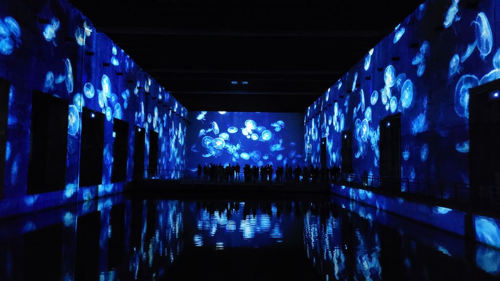 ocean-bassins-des-lumieres-bordeaux-23